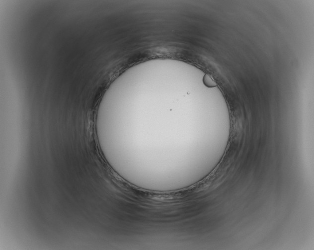 X0000112750749200908201013