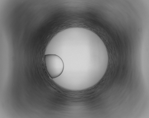X0000112750752200908201013