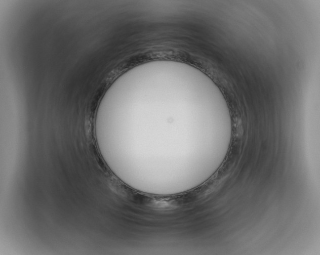 X0000112750753200908201013