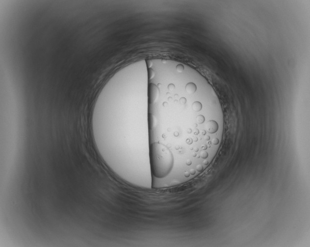 X0000112750755200908201013