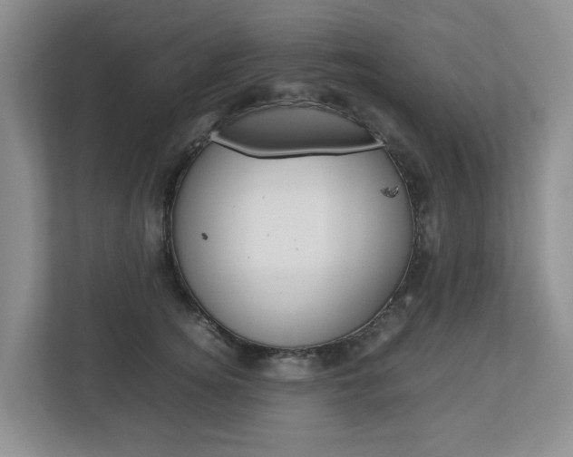X0000112750756200908201013