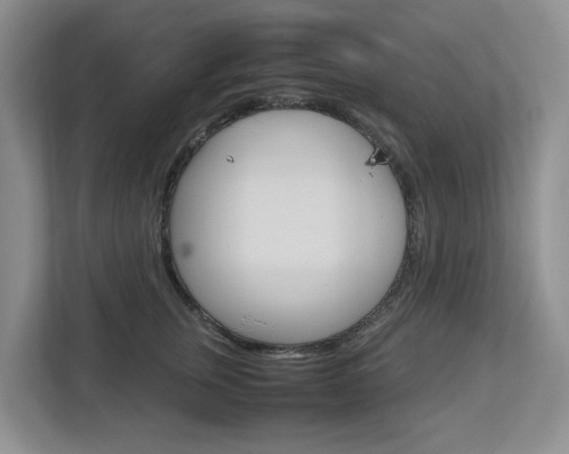 X0000112750759200908201013