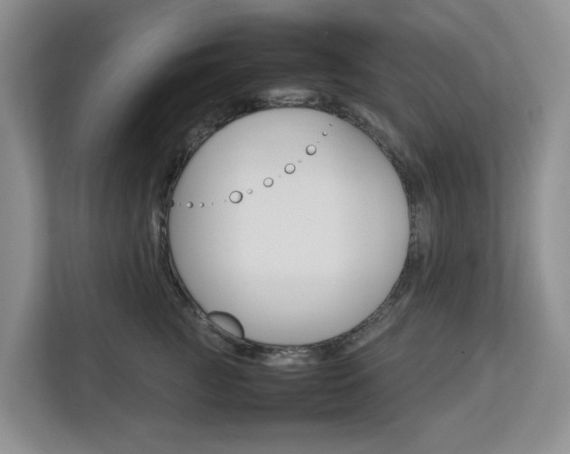 X0000112750761200908201013