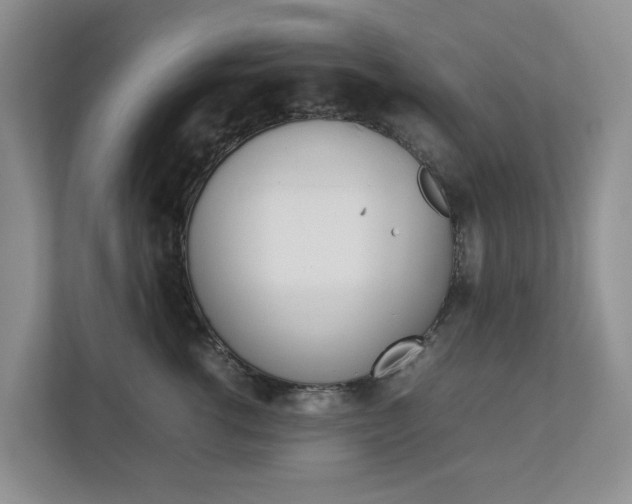 X0000112750762200908201013