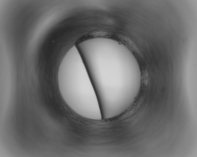 X0000112750763200908201013