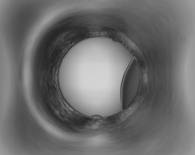 X0000112750764200908201013