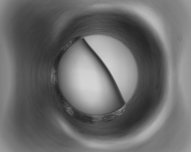 X0000112750766200908201013