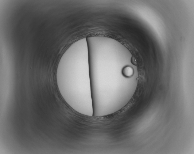 X0000112750767200908201013