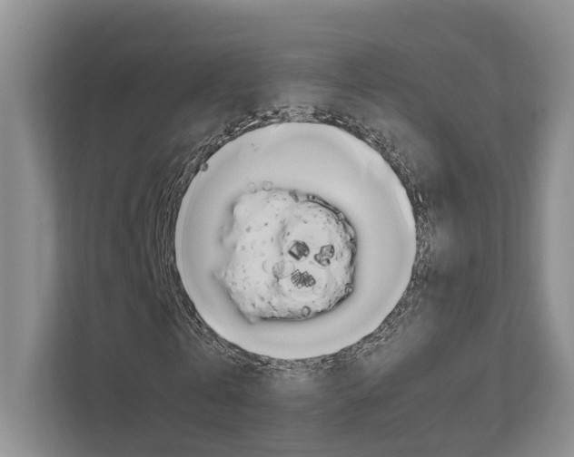 X0000112750769200908201012