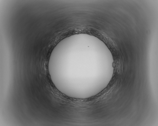 X0000112750770200908201012