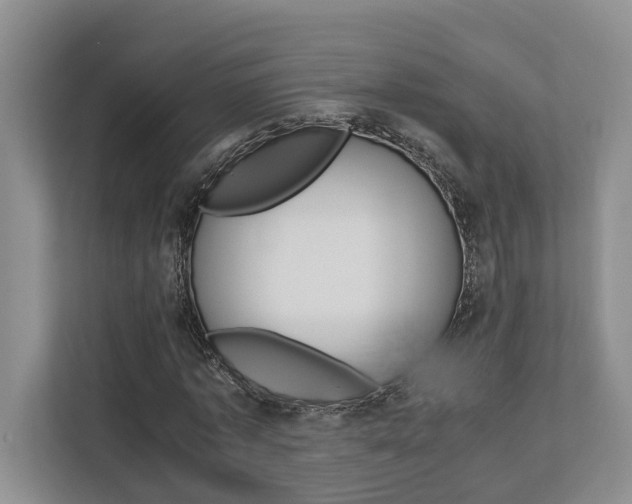 X0000112750773200908201012