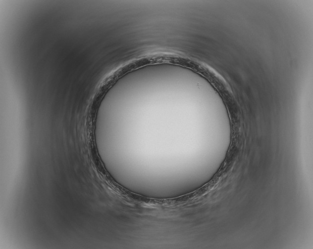 X0000112750775200908201012