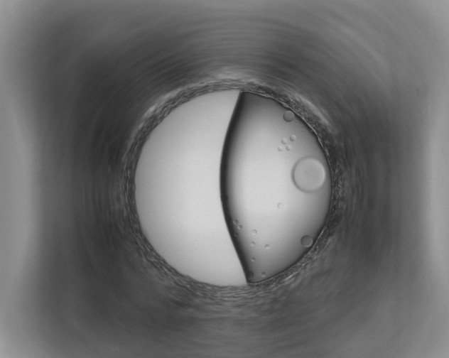 X0000112750776200908201012
