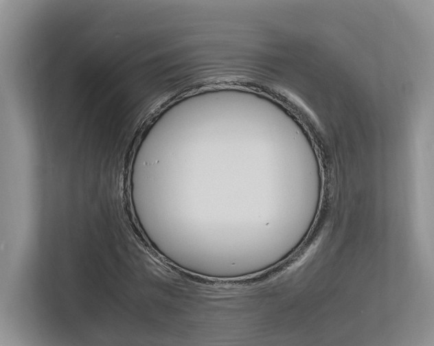 X0000112750777200908201012
