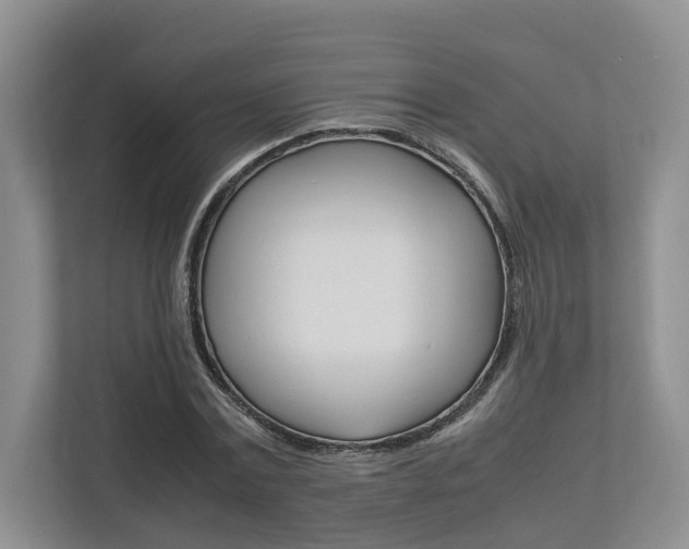 X0000112750779200908201012