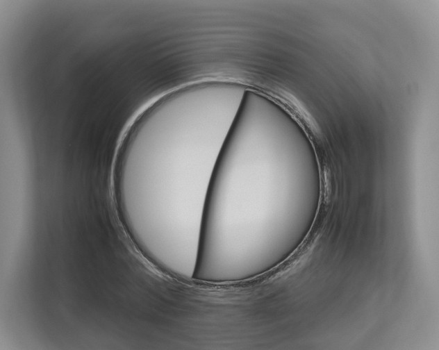 X0000112750780200908201012