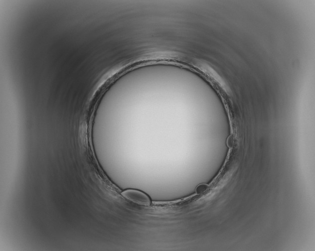 X0000112750781200908201012