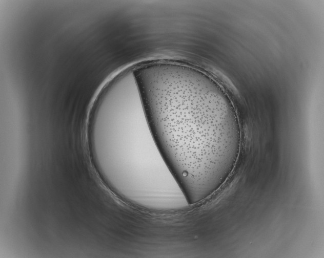X0000112750784200908201012