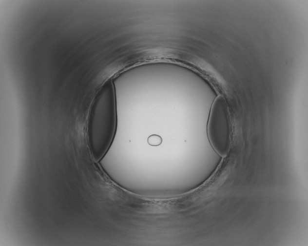 X0000112750785200908201012