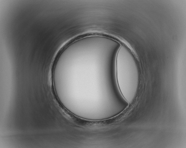 X0000112750791200908201012