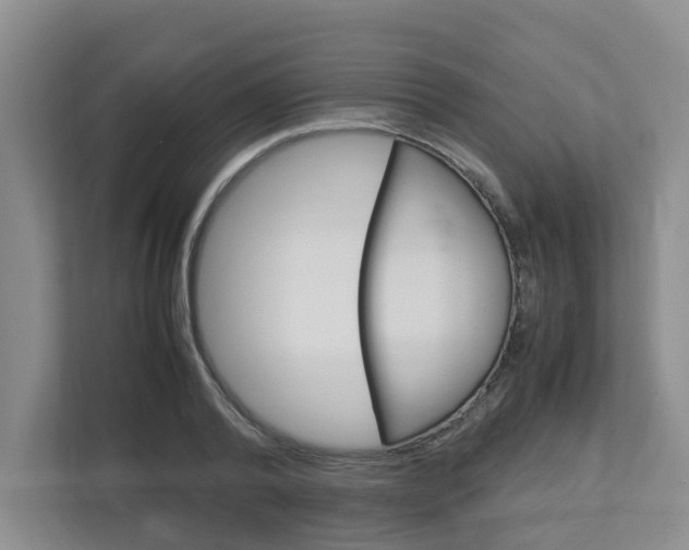 X0000112750792200908201012
