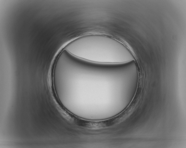X0000112750795200908201012