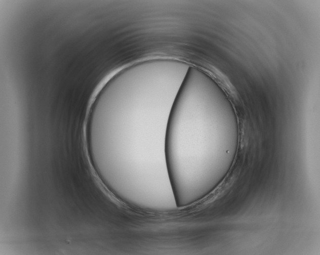 X0000112750796200908201012