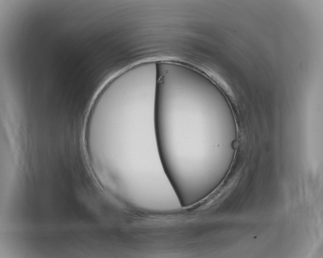 X0000112750797200908201012