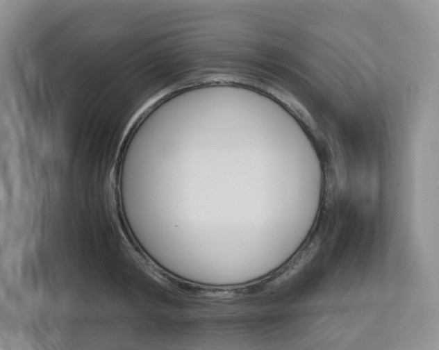 X0000112750798200908201012