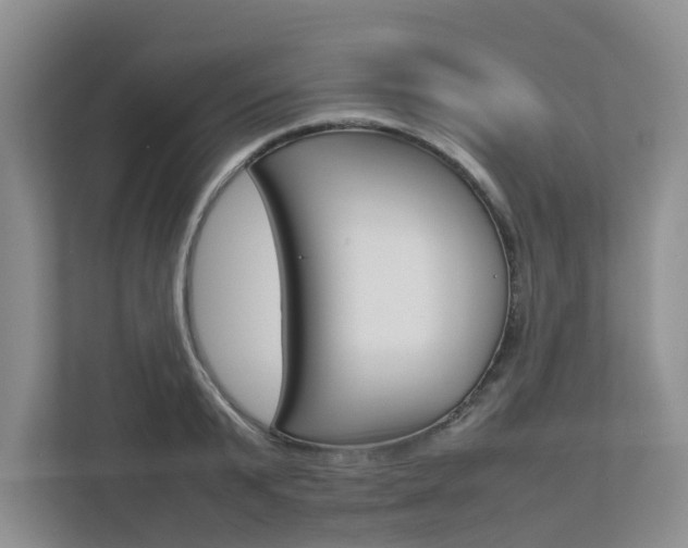 X0000112750799200908201012