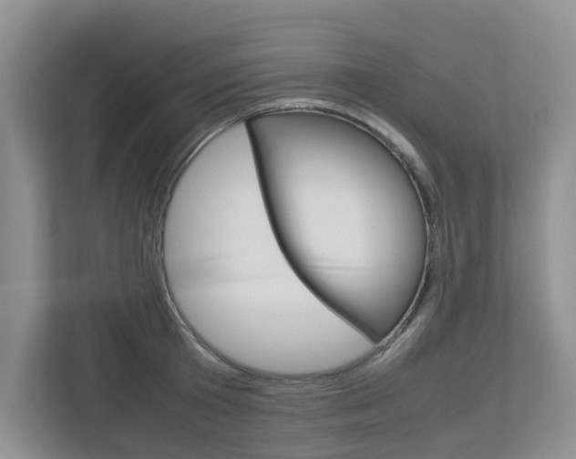 X0000112750801200908201012