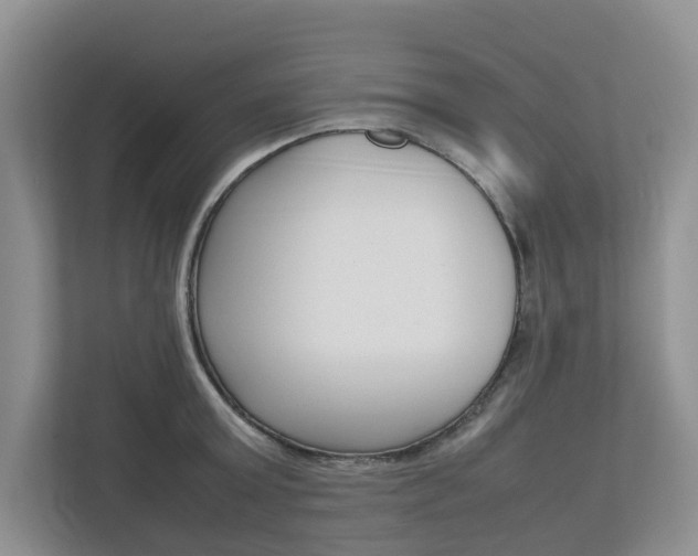 X0000112750803200908201012