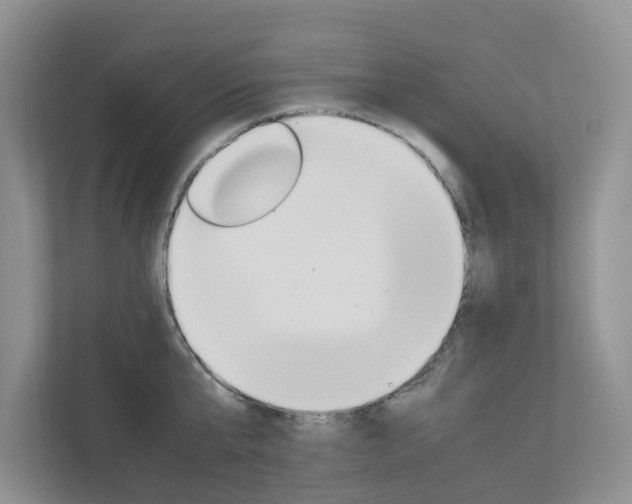 X0000112750807200908201012