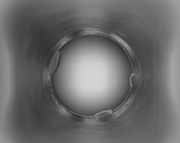 X0000112750809200908201012