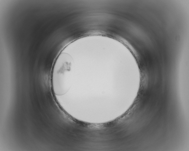 X0000112750810200908201012