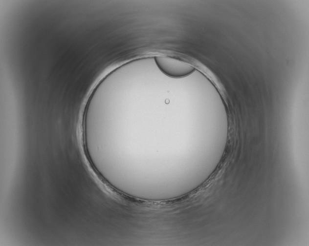 X0000112750811200908201012