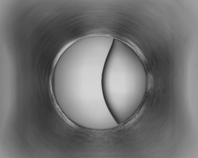 X0000112750812200908201012
