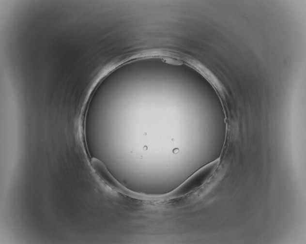 X0000112750813200908201012