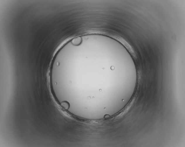 X0000112750814200908201012