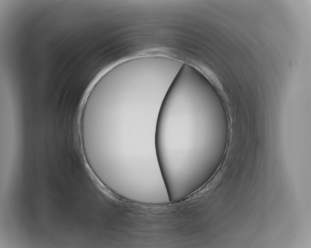 X0000112750816200908201012