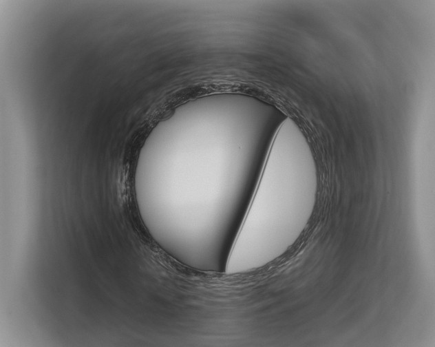 X0000112750818200908201011