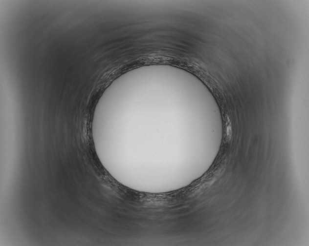 X0000112750819200908201011