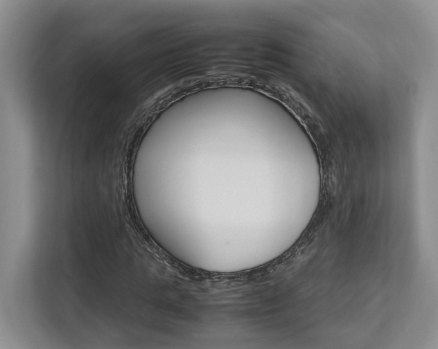 X0000112750821200908201011