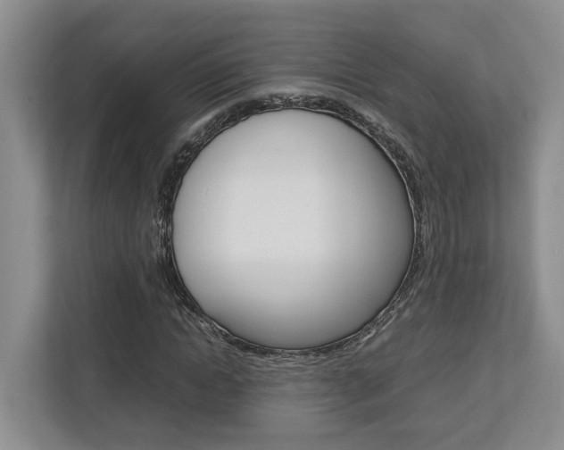X0000112750822200908201011