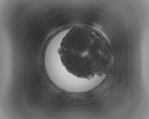 X0000112750823200908201011