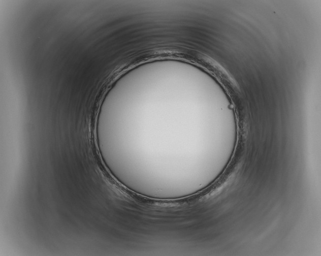 X0000112750825200908201011