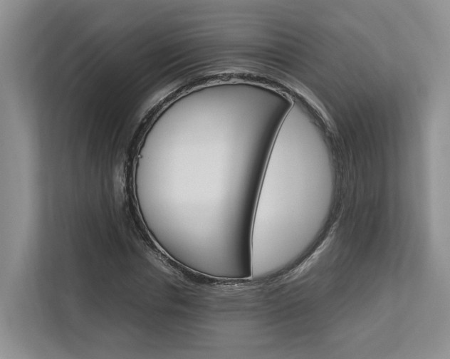 X0000112750826200908201011