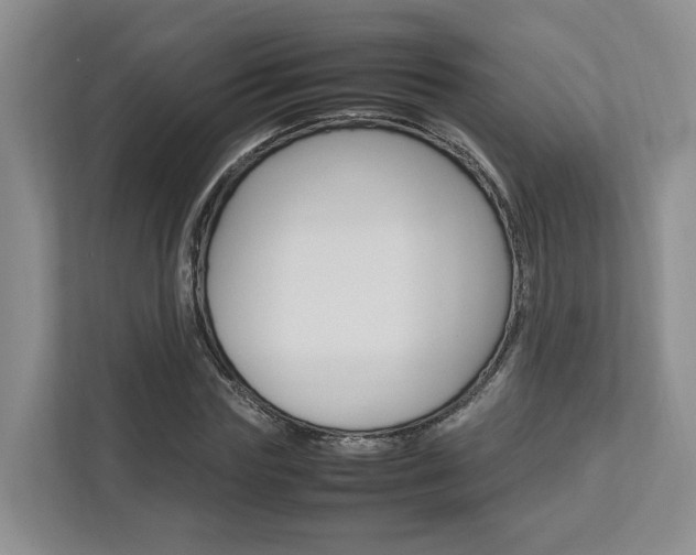 X0000112750827200908201011