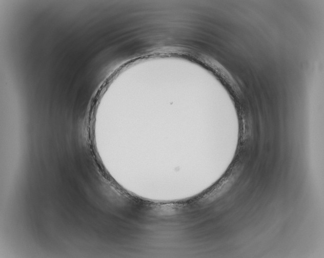 X0000112750828200908201011