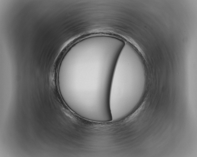 X0000112750830200908201011